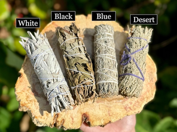 Smudge Kit 4 Stick SAMPLER - White Sage, Black Sage, Blue Sage & Desert Majik Sage (House Cleansing)