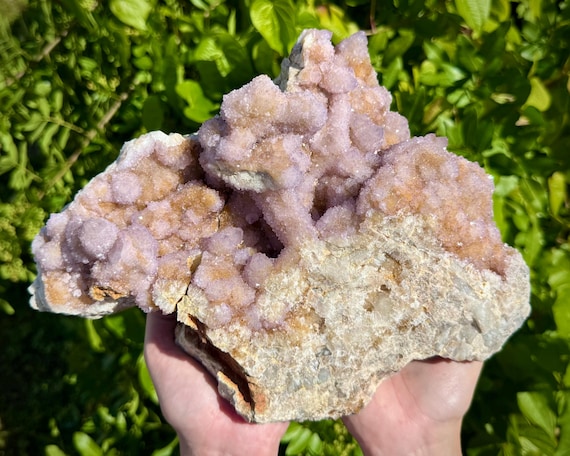 JUMBO Spirit Quartz Cluster - EXACT Specimen Shown (Beautiful 'AAA' Grade Natural Spirit Quartz Cluster, Cactus Quartz, Home Decor)