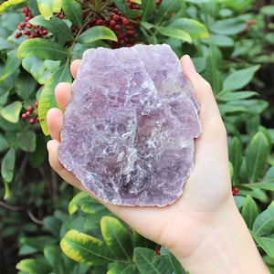 May include: A large, irregular-shaped piece of lilac-colored lepidolite crystal is held in a hand. The crystal has a layered, textured appearance. Green foliage and red berries form a natural background.