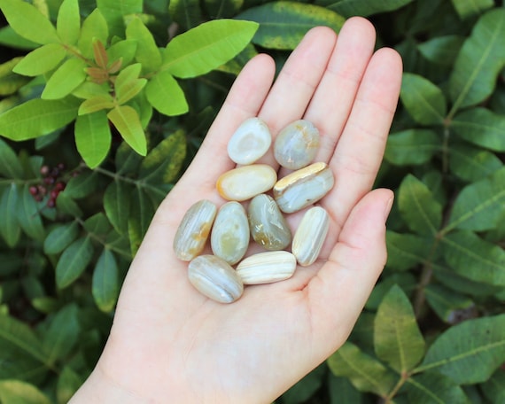 Banded Agate Tumbled Stones: Choose How Many Pieces  ('A' Grade Tumbled Agate)