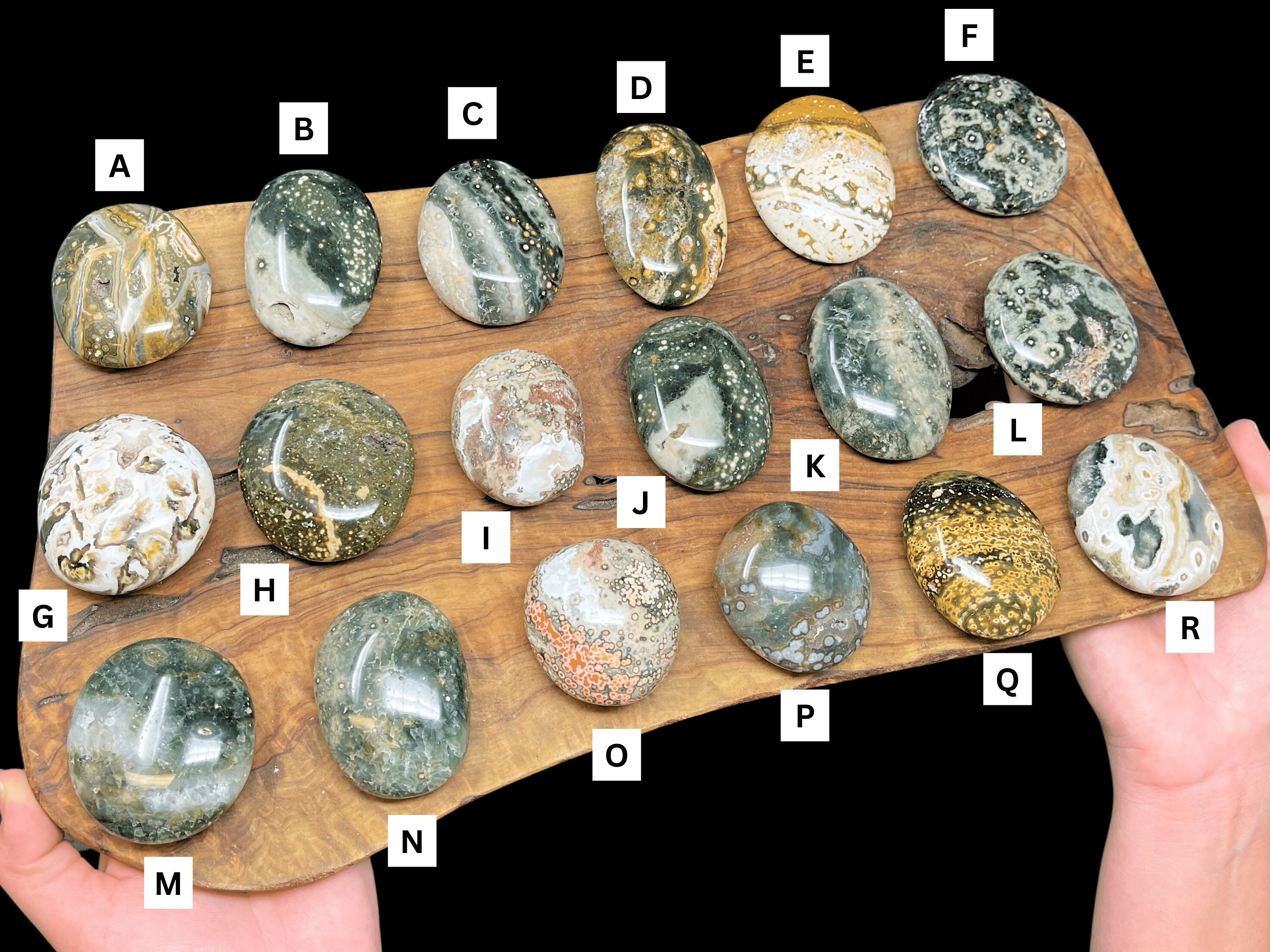 7th Vein Ocean Jasper Hand Polished Stones Choose EXACT Specimen Shown
