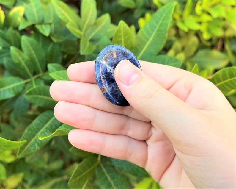 Op de afbeelding: Een gladde, ovale blauwe en witte edelsteen met een draaiend patroon. De steen wordt in een hand gehouden tegen een groene, bladerige achtergrond.