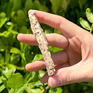 May include: A light brown, textured, rectangular object is held between fingers against a backdrop of green foliage. The object appears to be a piece of natural material, possibly a fragment of stone or coral, with a rough, porous surface.