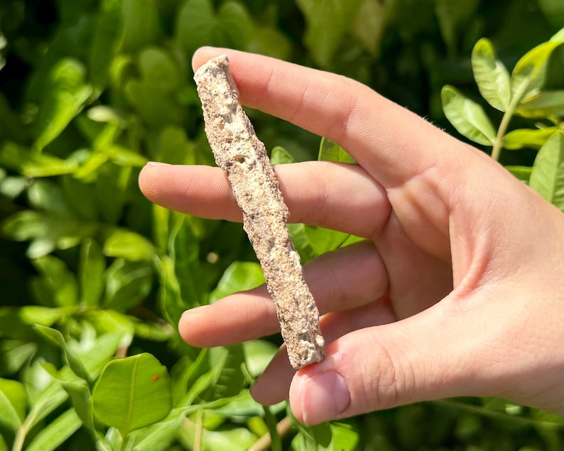 May include: A light brown, textured, rectangular object is held between fingers against a backdrop of green foliage. The object appears to be a piece of natural material, possibly a fragment of stone or coral, with a rough, porous surface.