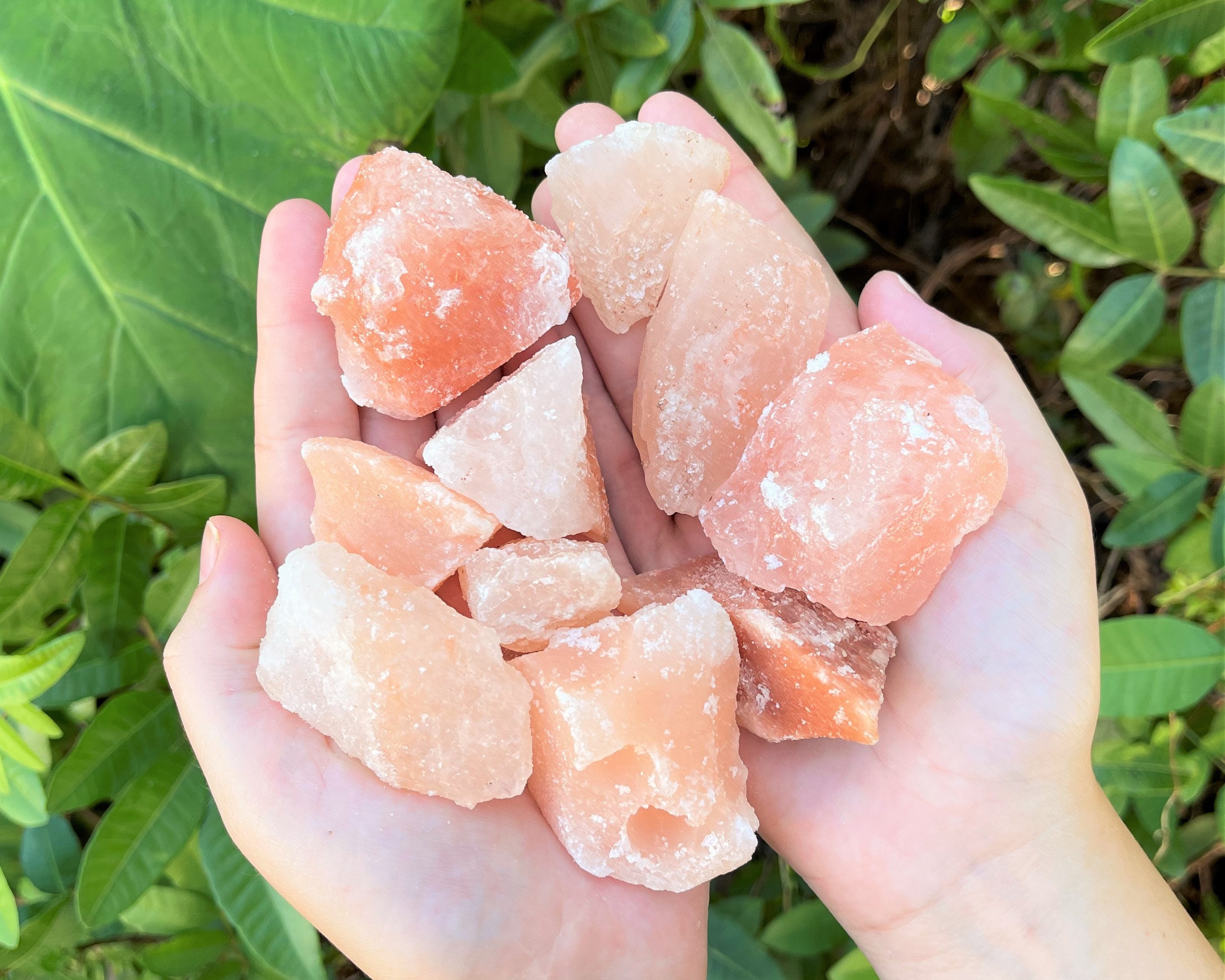 Shop Himalaya Salt Candy - Best Price in Malaysia