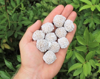 Desert Rose Selenite Buds Rough Natural Stones: Choose How Many ('A' Grade Specimens From Mexico)