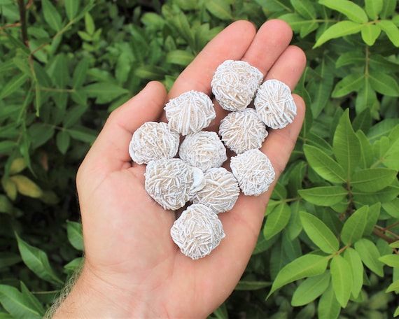 Desert Rose Selenite Buds, 0.75" - 1.5": Choose How Many Pieces (Premium Quality 'A' Grade)