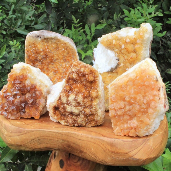 Citrine Cut Base Clusters, CLEARANCE Quality Crystal Quartz Geodes "B" Grade - Choose Size (Flat Base Cluster, Free Standing Citrine)