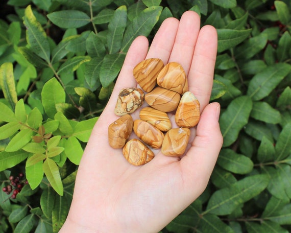 Walnut Jasper Tumbled Stones: Choose Ounces or lb Bulk Wholesale Lots (Premium Quality 'A' Grade)