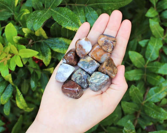 Pietersite Tumbled Stones: Choose How Many Pieces (Premium Quality 'A' Grade)