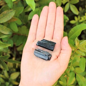 May include: Two raw, black tourmaline crystal earrings with gold-colored hooks are held in a hand against a backdrop of green foliage. The crystals have a rough, natural texture and are rectangular in shape.