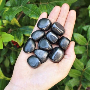 Shungite Tumbled Stones: Choose How Many Pieces (Premium Quality Natural Shungite Crystals)