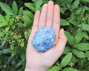 LARGE Rough Blue Calcite Natural Chunk, 2" - 3": Choose How Many Pieces (Premium Quality 'A' Grade)