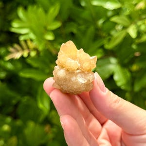 May include: A small, translucent, golden-yellow mineral specimen with a cluster of jagged, crystalline points at the top and a rounded, textured base. The mineral displays a natural, uneven surface with varying levels of clarity and light reflection.