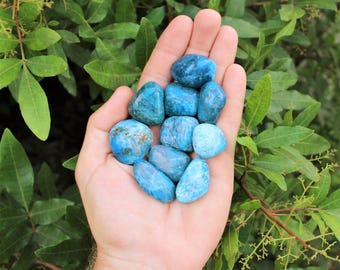 May include: A collection of ten polished, tumbled stones in varying shades of vibrant blue and teal. The stones have smooth, rounded surfaces with visible natural mineral inclusions and crystalline textures, displaying a mix of light and dark blue hues.