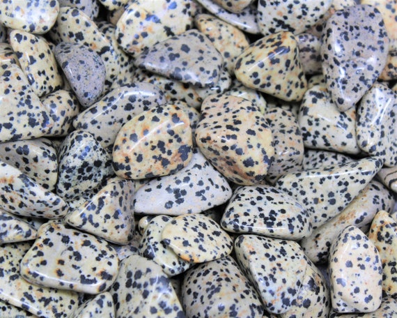 Dalmation Jasper Tumbled Stones: Choose Ounces or lb Bulk Wholesale Lots (Premium Quality 'A' Grade)