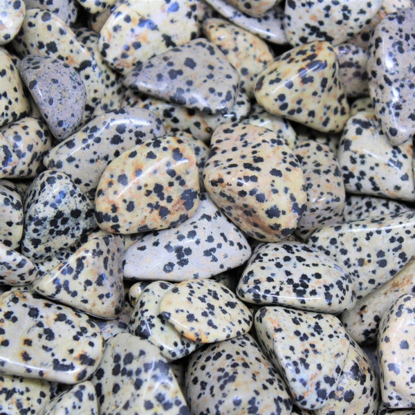 Dalmation Jasper Tumbled Stones: Choose Ounces or lb Bulk Wholesale Lots (Premium Quality 'A' Grade)