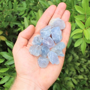 May include: A hand holding a collection of light blue, translucent, rough-cut crystals. The crystals are various sizes and shapes, with some having a more pointed shape and others being more rounded.