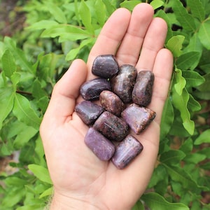 May include: A collection of tumbled purple and black ruby stones in a hand. The stones are smooth and polished, with a variety of shapes and sizes.