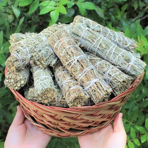 Black Sage Smudge 4&quot; Sticks (Mugwort) - Choose How Many, Wholesale Bulk Lots (Fresh Premium Quality - Purifying, Cleansing & Blessing)
