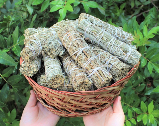 Black Sage Smudge Wholesale Bulk Bundles: Choose How Many 1, 2, 3, 5, 10, 20 or 50 Sticks (Mugwort, Sage Bundle, Artemisia Vulgaris)