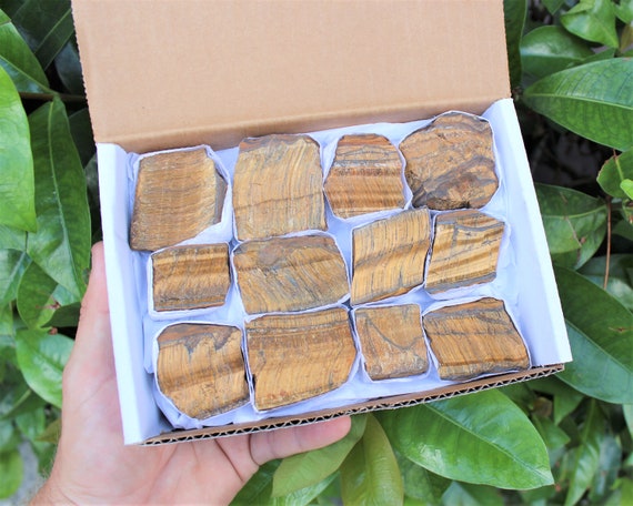 Gold Tiger Eye Premium Grade Rough Specimen Box: 8 or 12 Piece Box lots ('AAA' Grade Raw Gold Tiger Eye Crystals)