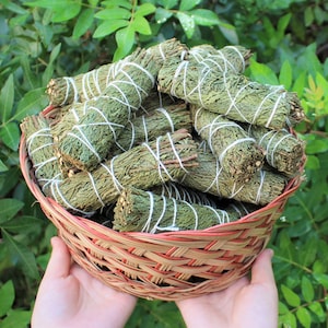 May include: A woven basket with a red and tan pattern filled with multiple bundles of dried green cedar needles. Each bundle is tightly wrapped with thin white string to secure the foliage into a cylindrical shape for storage or display.