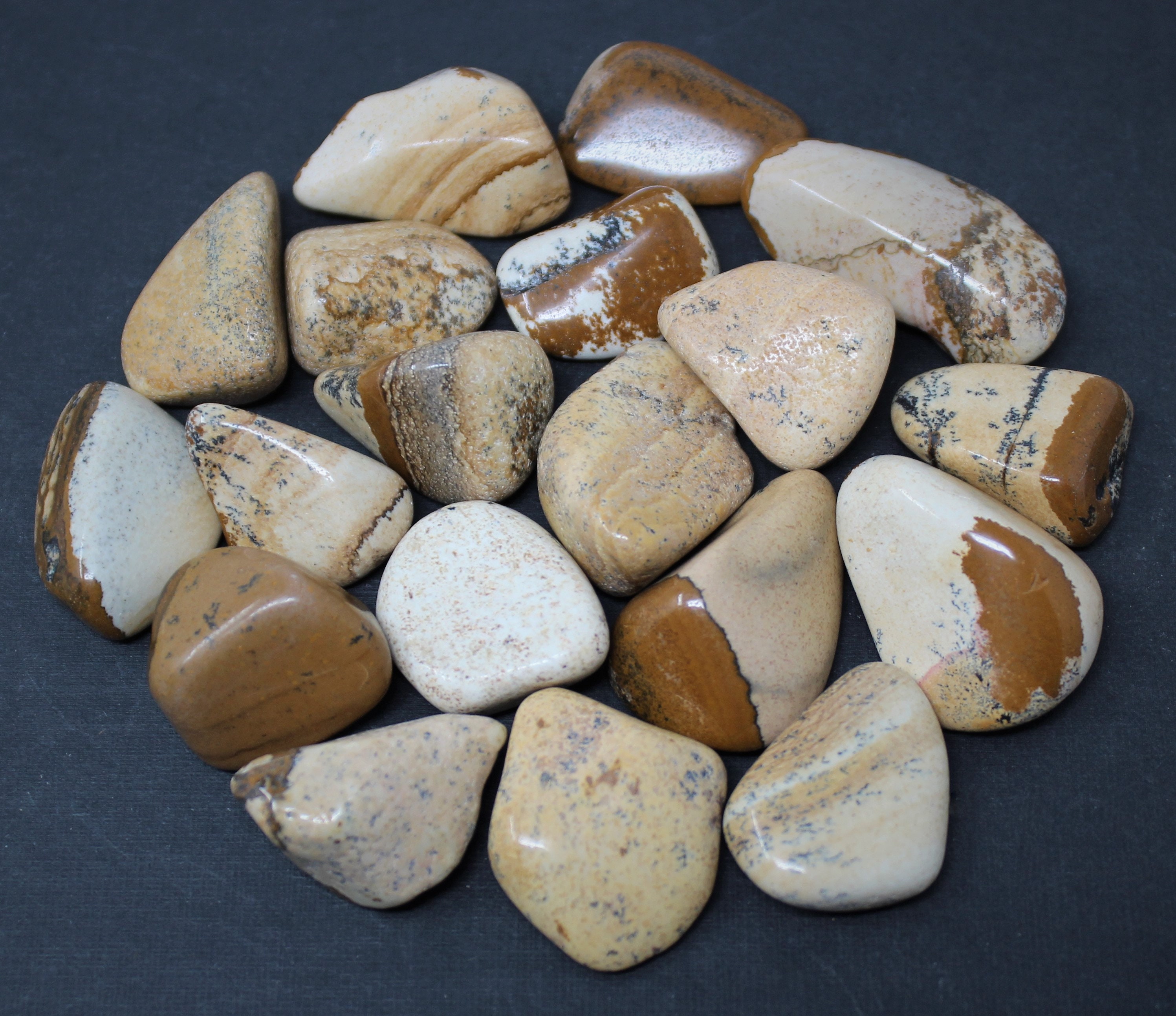 Picture Jasper Tumbled Stones: Choose How Many Pieces ('A' Grade
