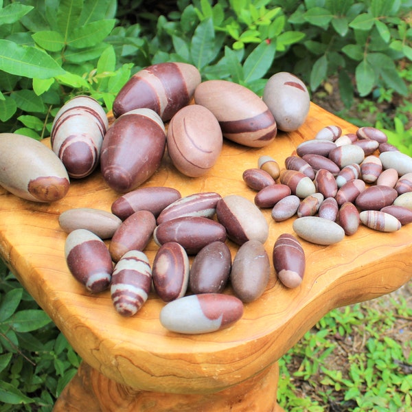 Shiva Lingam Stones 1 - 6", Sacred Stones from Narmada River India - Choose Size and Amount (Kundalini Awakening, Healing Crystal)