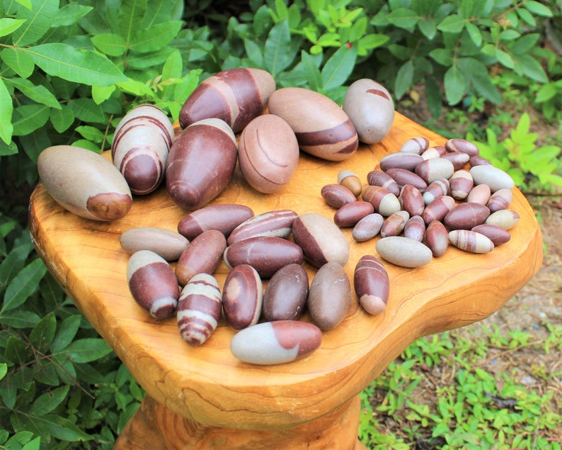 Pu&ograve; includere: Una collezione di pietre striate marroni e bianche, conosciute come Shiva Lingam, disposte su una superficie di legno. Le pietre sono di diverse dimensioni e forme, alcune sono pi&ugrave; arrotondate di altre.