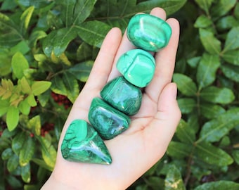 Malachite Tumbled Stones, Large 1" - 1.5": Choose How Many Pieces (Premium Quality 'A' Grade)