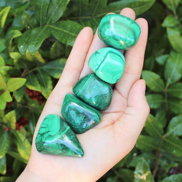 Malachite Tumbled Stones, Large 1" - 1.5": Choose How Many Pieces (Premium Quality 'A' Grade)