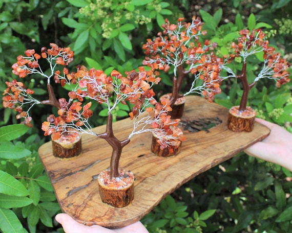Carnelian Gem Tree With Wood Base, 7" Tall With 160 Crystal Chips (Crystal Tree, Tree of Life, Gemstone Tree, Bonsai Tree, Crystal Healing)