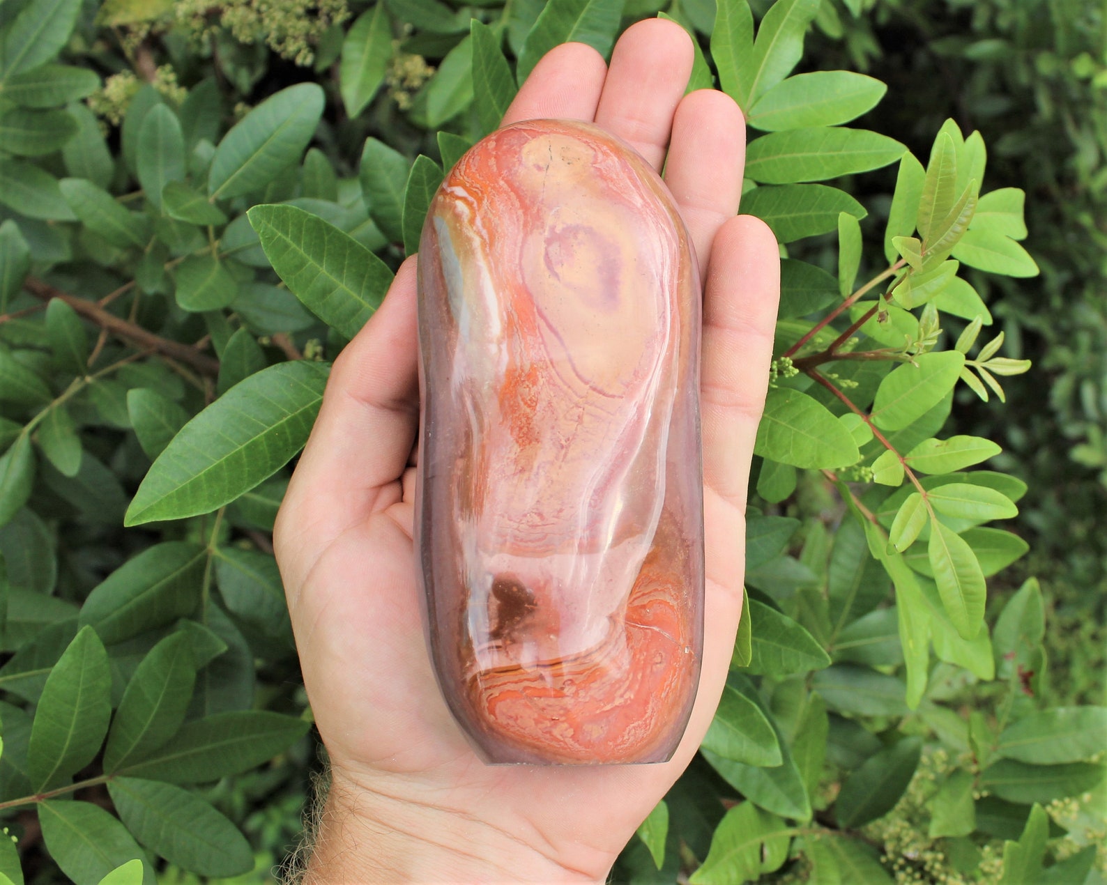 •POLYCHROME JASPER - FREEFORM• sterling silver pendant