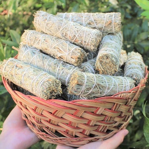 Blue Sage Smudge 4&quot; Sticks - Choose How Many, Wholesale Bulk Lots (Fresh Premium Quality Sage Bundles For Purifying, Cleansing & Blessing)