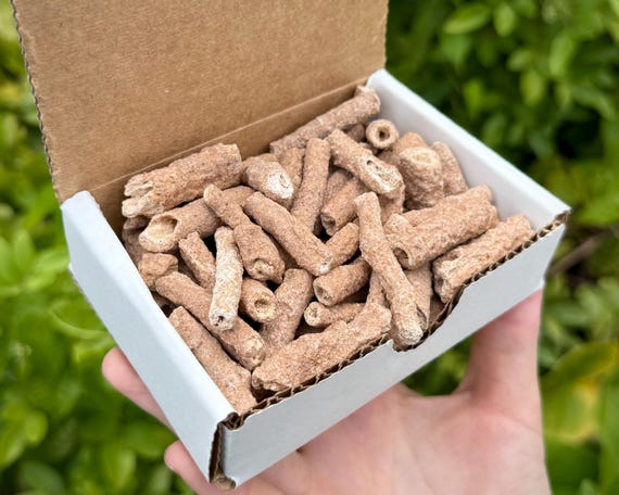 RARE Fulgurite Crystals Collection Box - Natural Lightning Formed Fulgurite Specimens (Premium Quality Raw Fulgurite From Morocco)
