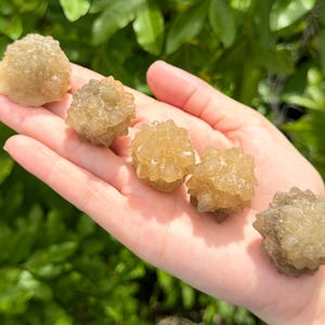 May include: Five small, spherical, light brown mineral clusters with a crystalline, textured surface. Each piece features a rounded shape composed of numerous tiny, pointed crystal formations that create a rough, multifaceted appearance.