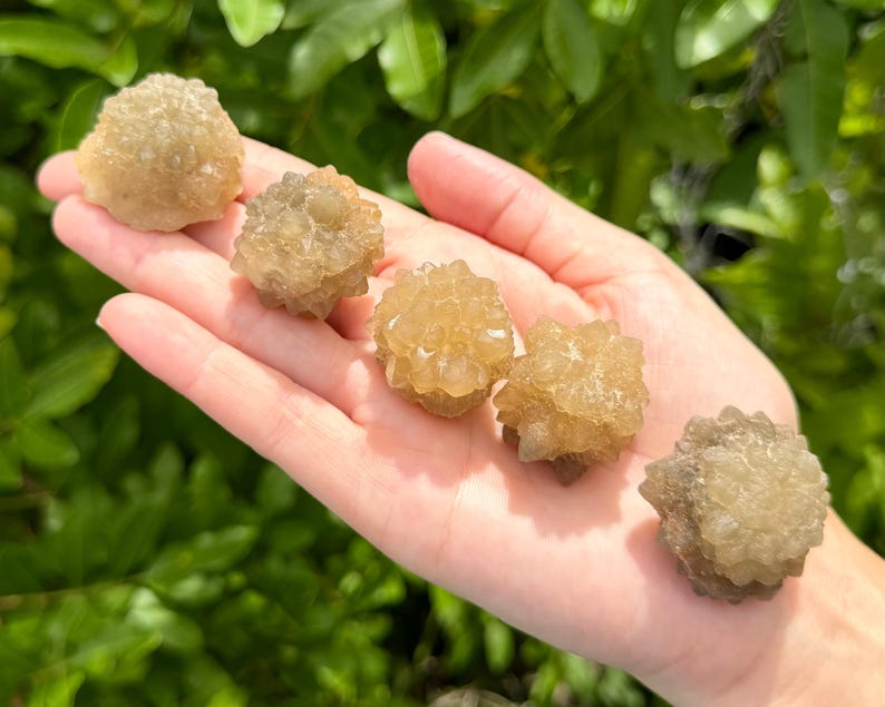 May include: Five small, spherical, light brown mineral clusters with a crystalline, textured surface. Each piece features a rounded shape composed of numerous tiny, pointed crystal formations that create a rough, multifaceted appearance.
