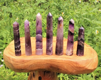 Könnte beinhalten: Sieben polierte Amethyst-Kristallspitzen, die in einer Reihe auf einer natürlichen Holzoberfläche angeordnet sind. Jeder Kristallturm weist verschiedene Schattierungen von tiefem Violett und durchscheinenden weißen Bändern auf.