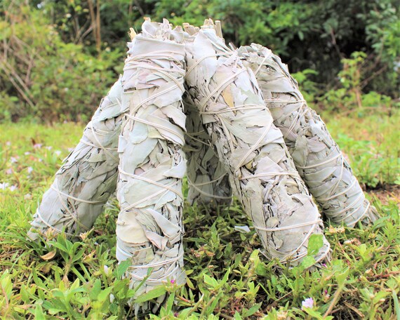 9" White Sage Smudge Sticks, Jumbo + Directions! Choose 1, 2, 3, 5, 10 or 20 Bundles