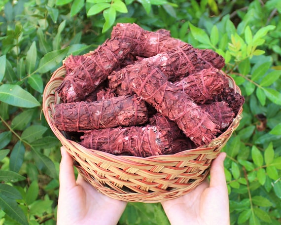 Dragons Blood Smudge Bundles: Choose How Many (White Sage Smudge Dipped in Dragons Blood Resin) Purification and Protectection