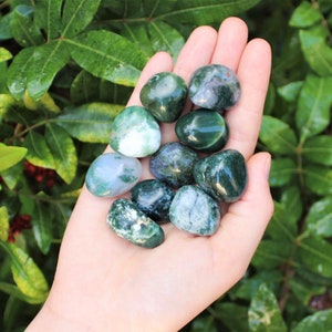 Moss Agate Tumbled Stones: Choose How Many Pieces (Premium Quality &#39;A&#39; Grade Moss Agate Crystals)