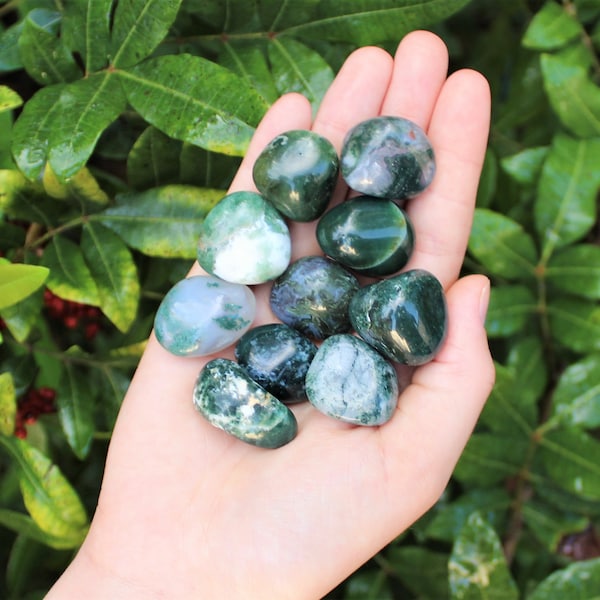 Moss Agate Tumbled Stones: Choose How Many Pieces (Premium Quality 'A' Grade)