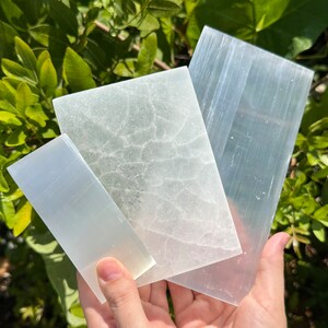 May include: Three translucent selenite crystal slabs of varying sizes are held up against a backdrop of green foliage. The crystals have a soft, pearly sheen and a smooth texture. The largest slab has a cracked, textured appearance.