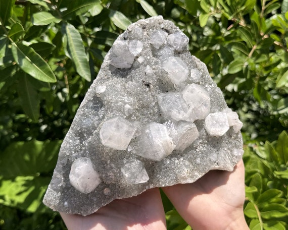 Apophyllite & Zeolite Crystal Cluster - EXACT SPECIMEN Shown ('AAA' Grade Natural Apophyllite Cluster with Inclusions, AP12)