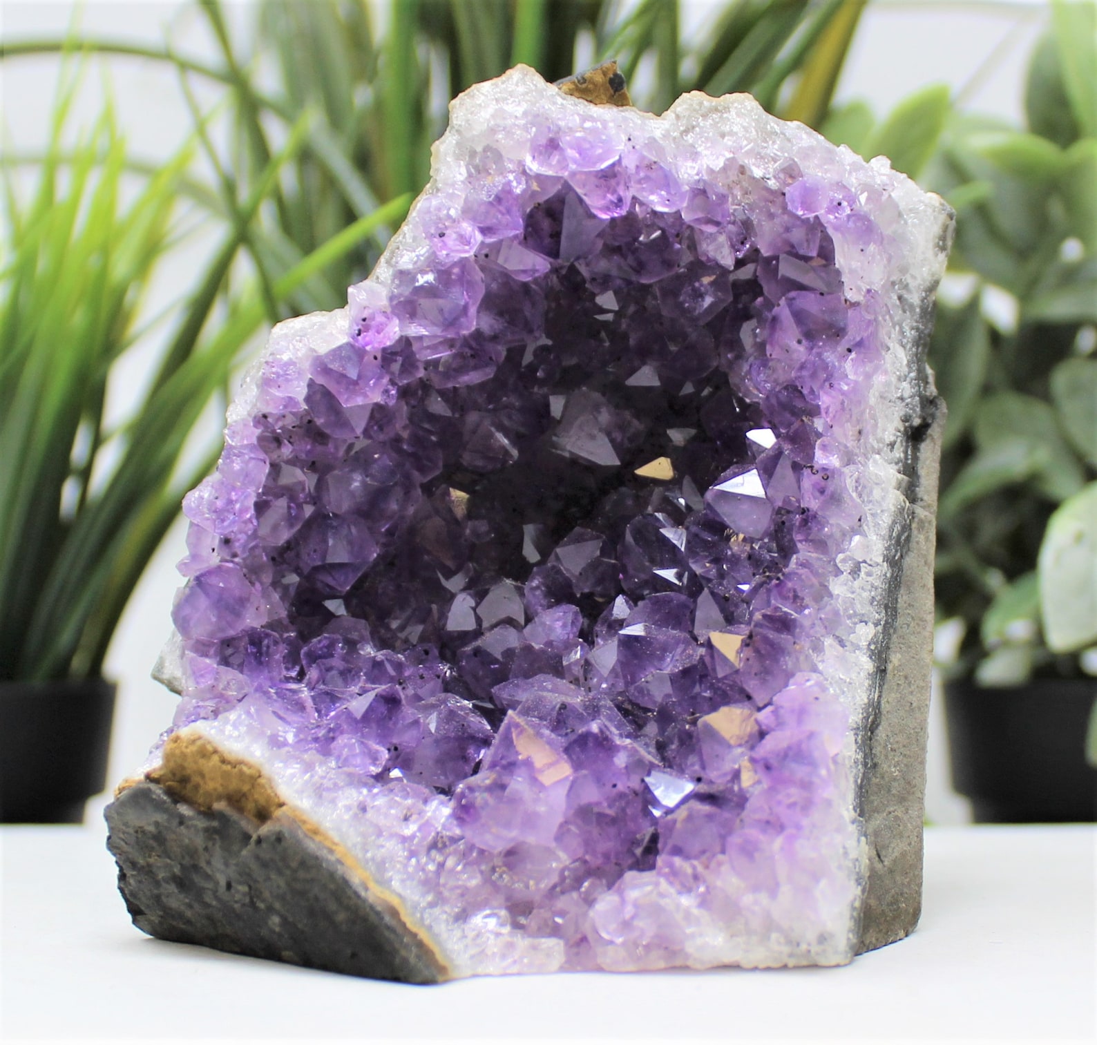 Stunning VERY LARGE Amethyst Cut Base Clusters Crystal Quartz Etsy Stunning VERY LARGE Amethyst Cut Base Clusters Crystal Quartz Etsy