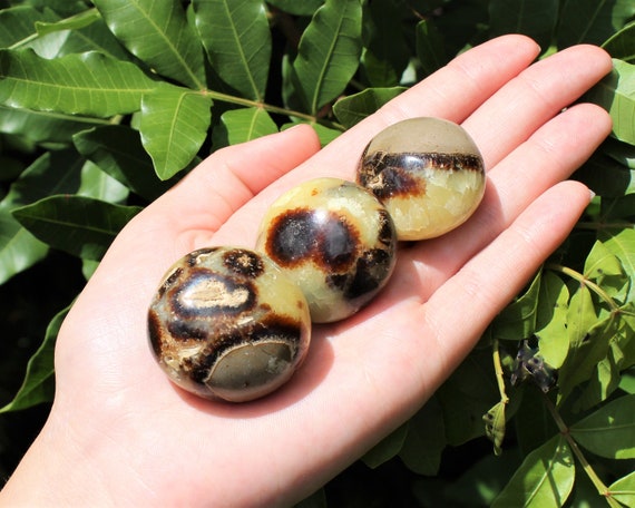 Septarian Hand Polished Stones: Choose How Many ('A' Grade Polished Septarian Pebbles, Septarian Palm Stones)