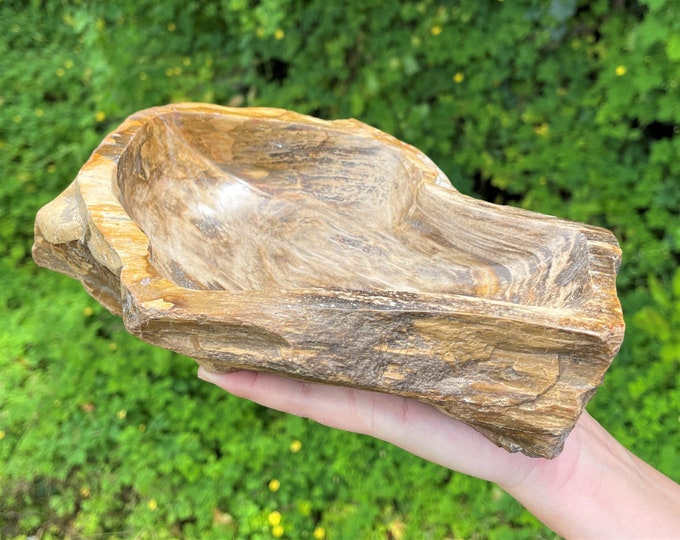 Petrified Wood Bowl - EXACT SPECIMEN Shown (Petrified Wood Decorative Crystal Bowl, From Indonesia, Home Decor, WB19)