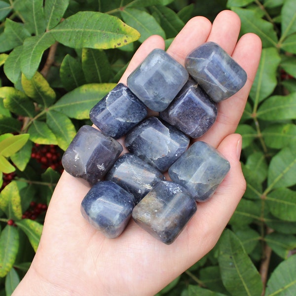 Iolite Tumbled Stones: Choose How Many Pieces (Premium Quality 'A' Grade)