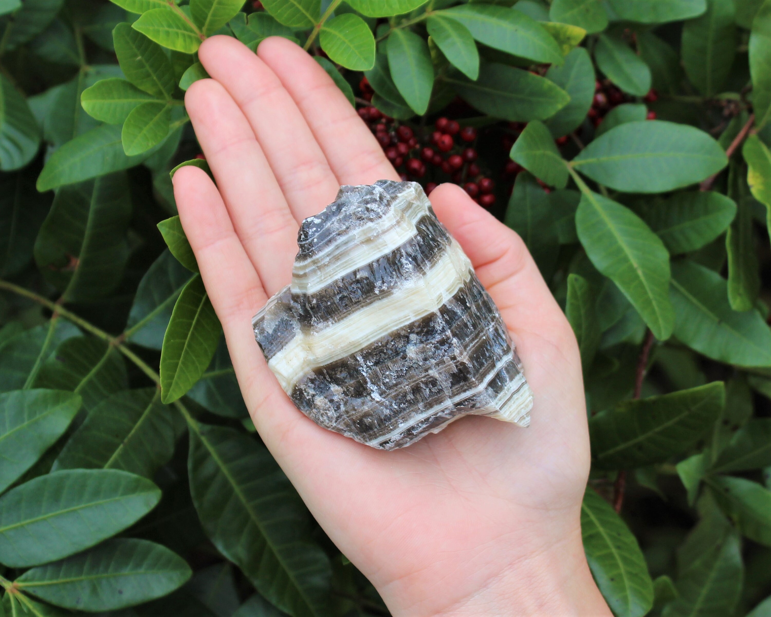 Assortment of Large & Small Crystals, Zebra Banded Calcite, Magnetic  Gemstone etc. - Dutch Goat